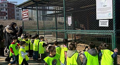 Minikler için doğada eğlence ve eğitim bir arada