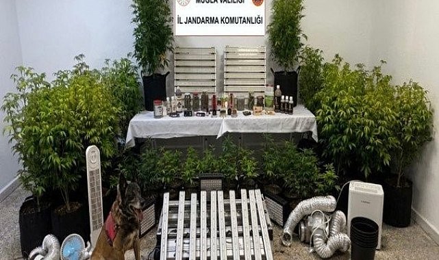 Muğla'da 15'inci yüzyıla ait Tevrat ele geçirildi