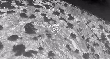 Muğla'da yaban keçileri termal kameralı drone ile görüntülendi