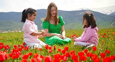 Muş lalesi ovayı kırmızıya boyadı