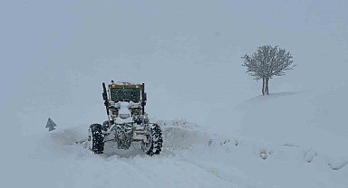 Muş'ta 55 köy yolu kapandı