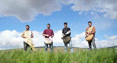 Muş'ta çiftçiler tarlaya indi: Gübreler imece usulü ile serpildi