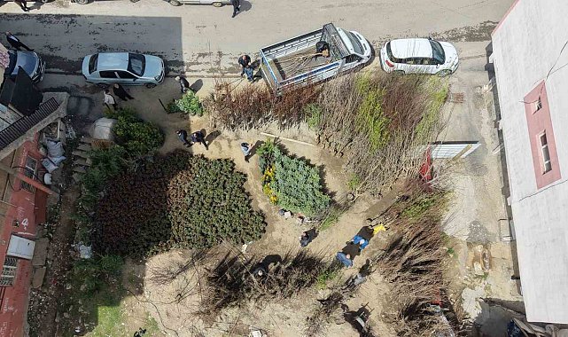 Muş'ta meyve fidanları satışa çıkarıldı