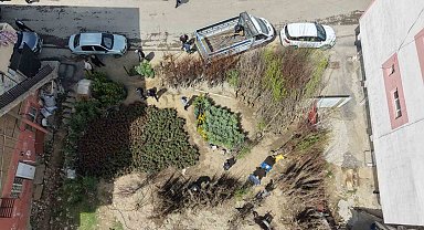Muş'ta meyve fidanları satışa çıkarıldı