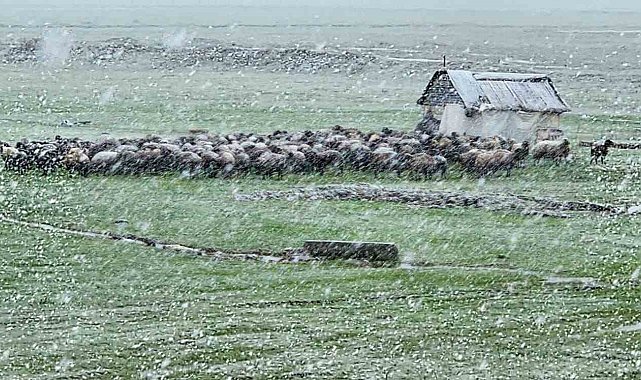 Muş'ta nisan karı etkisini sürdürüyor: 22 köy yolu ulaşıma kapandı