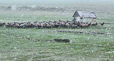 Muş'ta nisan karı etkisini sürdürüyor: 22 köy yolu ulaşıma kapandı