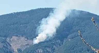 Nazilli'de orman yangını