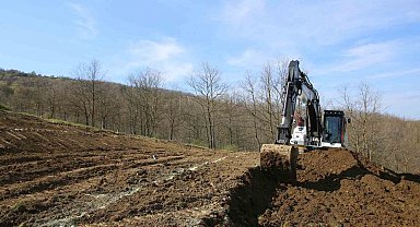 Nilüfer'de atıl araziler bereketleniyor