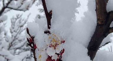 Nisan karı mahalleyi beyaza bürüdü