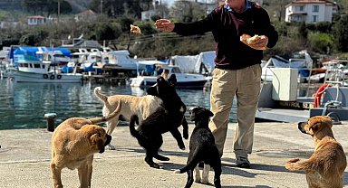 Olta tutkunu vatandaştan sokak köpeklerine şefkat