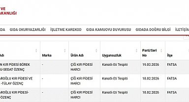 Ordu'da kır pidesi harcından 'kanatlı eti' çıktı