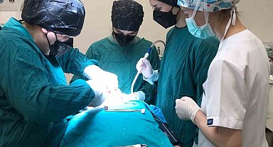 Ordu'da özel bireylerin diş problemlerine etkili çözüm