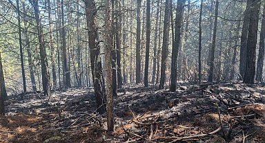 Orman yangını kontrol altına alındı