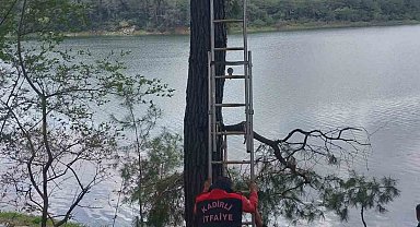 Osmaniye'de ağaca takılan kargayı itfaiye kurtardı