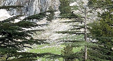 Osmaniye'de kayalıklardan düşen adam hayatını kaybetti