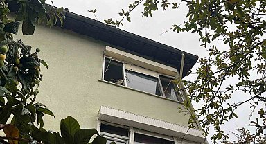 Pencereden bakan ev kedisi itfaiyeyi alarma geçirdi