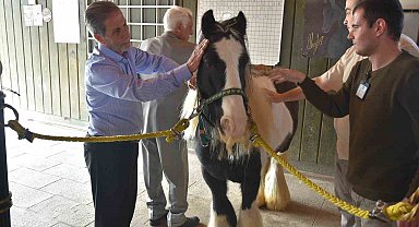 Pendik'te atlarla şifa: Yaşlılar için atla terapi dönemi başladı