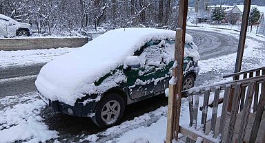 Posof'ta kar yağışı etkili oldu