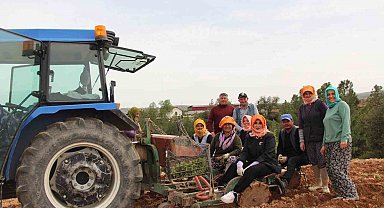 Poşusunu takan Kaymakam Kuran üreticilerle birlikte kekik dikti