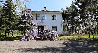 Rektör Özölçer, Teoman Duralı'nın Çocukluk Evinde İncelemelerde Bulundu