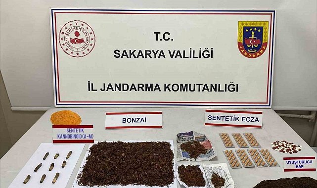 Sakarya'da jandarmadan zehir tacirlerine geçit yok: 2 tutuklama