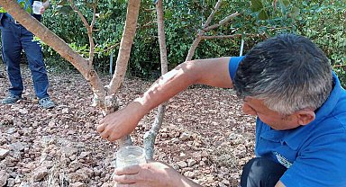 Sakız'dan farklı ürünler üretilmeye başlandı