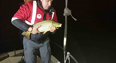 Samsun'da kaçak avcılığa geçit yok: 60 kiloluk sazan geri salındı