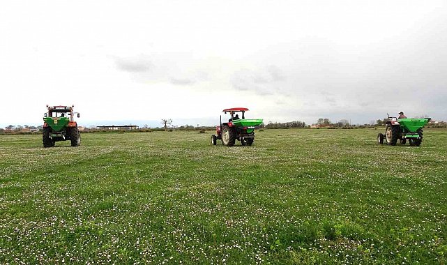 Samsun'da meralarda ıslah çalışmaları sürüyor