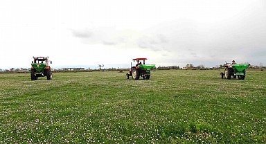 Samsun'da meralarda ıslah çalışmaları sürüyor