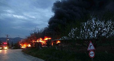 Samsun'da muz deposunda yangın: Ekipler müdahale ediyor