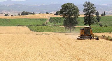 Samsun'da tarım, hayvancılık ve kırsal kalkınmaya 3 milyar TL üzerinde destek