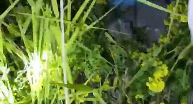 Şanlıurfa'da kayalıklarda mahsur kalan 2 küçük kardeş kurtarıldı