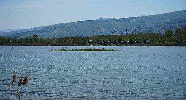Sapanca Gölü çekildi: Gizemli ada yeniden ortaya çıktı