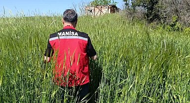 Sarıgöl'de huhubatta verim için ekipler sahada