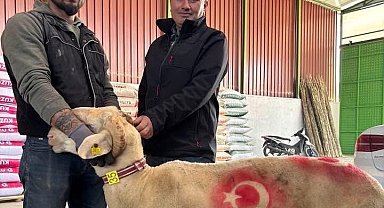 Sarıgöl'de kurbanlık pazarı hareketlendi