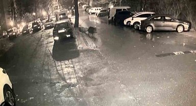 Sarıyer'de aç kalan domuzlar hastane yakınına kadar geldi