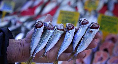 Sezonun sonuna gelinirken istavritin kilosu 70 TL'ye düştü