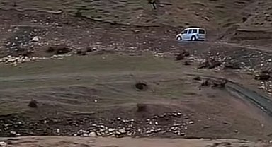 Siirt'te sağanak yağış hayvancılığı olumsuz etkiledi