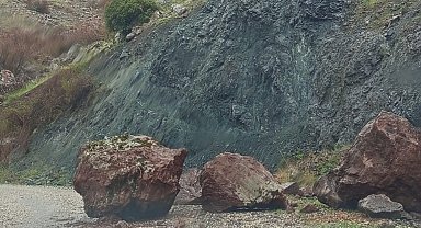 Sincik'te kuvvetli yağış sonrası köy yoluna kaya düştü