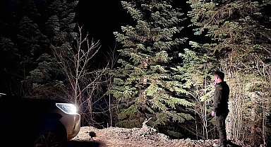 Sinop ormanları 724 koruma altında