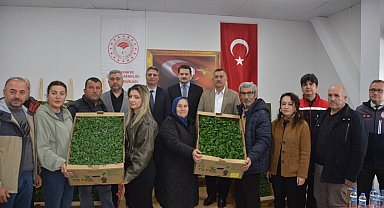 Sinop'ta 135 bin fide toprakla buluşuyor