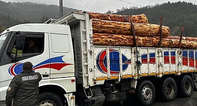 Sinop'ta orman ürünlerine 183 noktada denetim