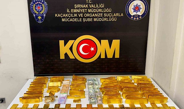 Şırnak'ta dev operasyon: 610 milyon liralık kaçakçılık darbesi