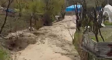 Şırnak'ta sel felaketinde silahla uyarı yapıldı