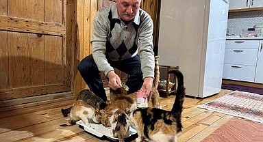 Sokak kedilerine evinin kapısını açtı, onlara yuva oldu