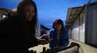 Su kanalında doğum yapan kedi ve 3 yavrusunun yeni yuvası depremzede ailenin konteyneri oldu