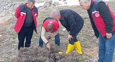 Süne mücadelesi için ilkbahar kışlak sürveyleri yapıldı