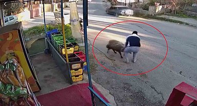 Sürünün geçişi esnasında 3 metrelik kuyuya düşen koyunu esnaf kurtardı: O anlar kamerada