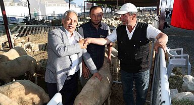 Talas'ta Kurban Pazarı başvuru tarihi belli oldu