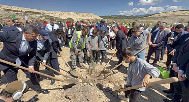 Taşınan her zeytin ağacına karşılık fidan: Milas'ta 4 bin zeytin toprakla buluştu